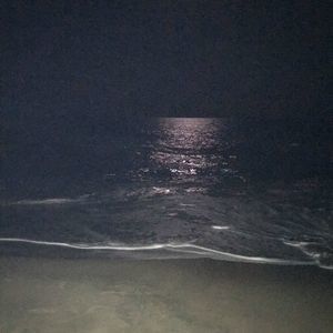 Meet your Posher, Troy